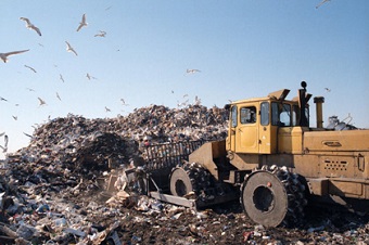 Минстрой опроверг информацию о включении переработки мусора в коммунальные платежи