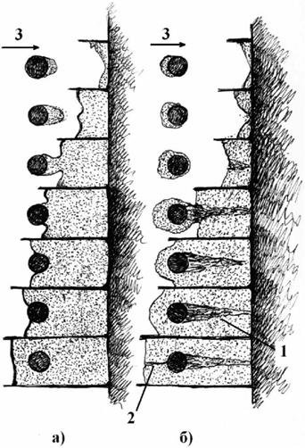 image042.jpg image042.jpg