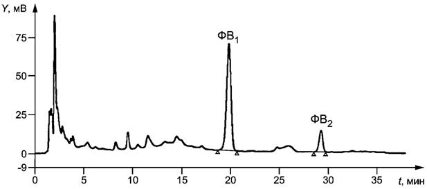 image002.jpg image002.jpg