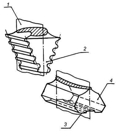 image030.jpg image030.jpg