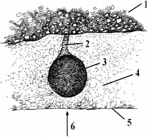 image041.jpg image041.jpg