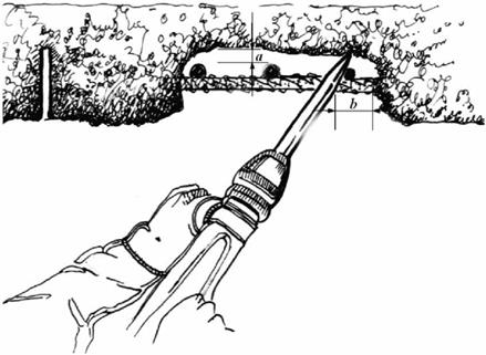 image013.jpg image013.jpg