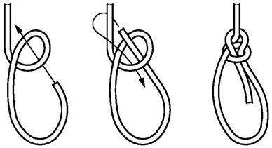 image003.jpg image003.jpg