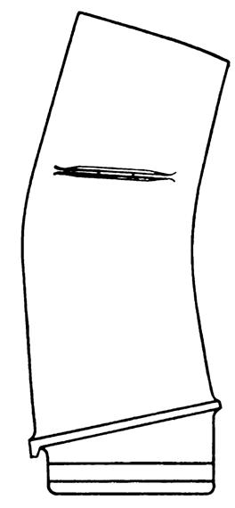 image039.jpg image039.jpg