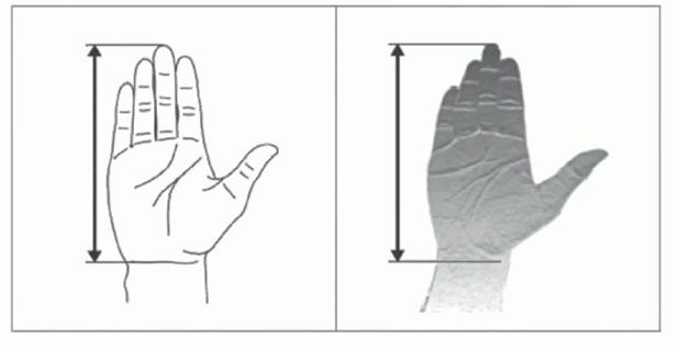 image109.jpg image109.jpg