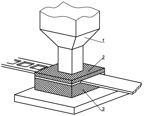 image010.jpg image010.jpg