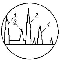 image007.jpg