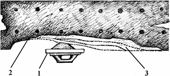 image021.jpg image021.jpg