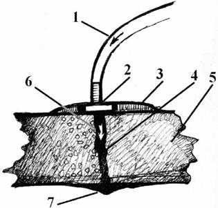 image004.jpg image004.jpg