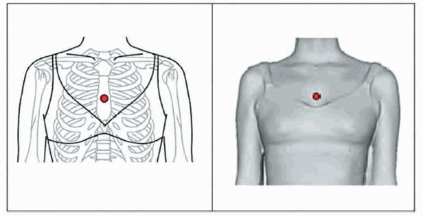 image012.jpg image012.jpg