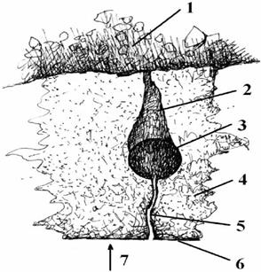 image040.jpg image040.jpg