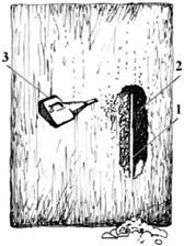 image009.jpg image009.jpg