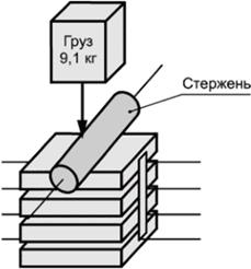 image005.jpg image005.jpg