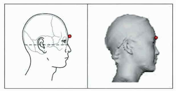 image002.jpg image002.jpg