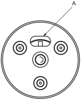 image002.jpg image002.jpg