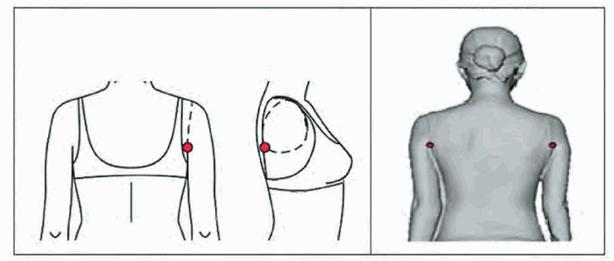 image014.jpg image014.jpg