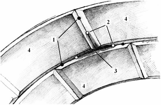 image030.jpg image030.jpg