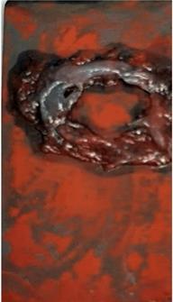 image011.jpg image011.jpg