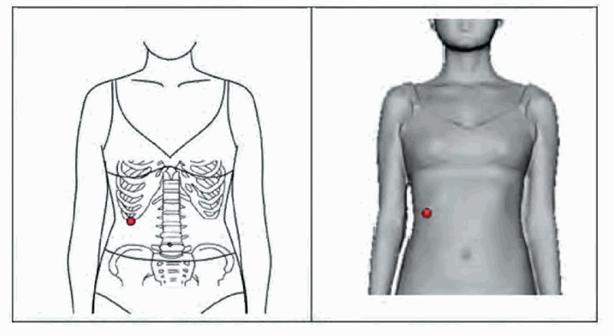 image015.jpg image015.jpg