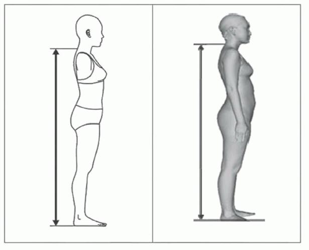 image036.jpg image036.jpg