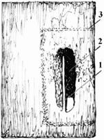 image010.jpg image010.jpg