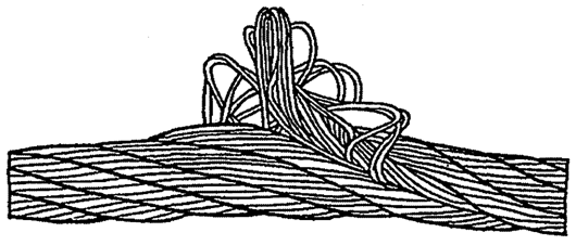 image025.gif