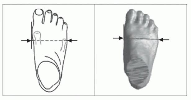 image113.jpg image113.jpg