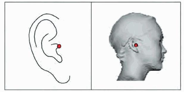 image003.jpg image003.jpg