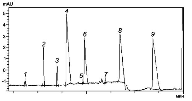 image009.jpg image009.jpg