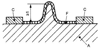 image027.jpg image027.jpg