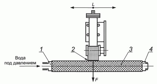 image008.jpg image008.jpg