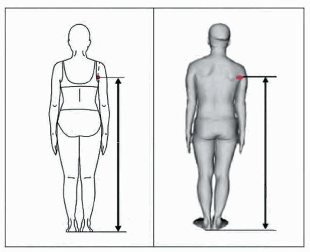 image037.jpg image037.jpg