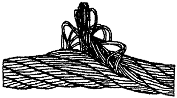 image010.png image010.png