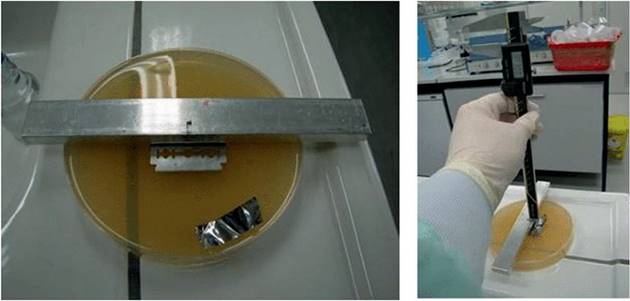 image001.jpg image001.jpg