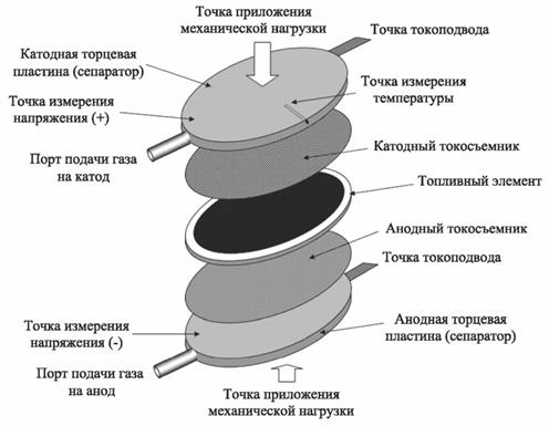 image006.jpg image006.jpg