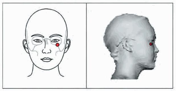 image004.jpg image004.jpg