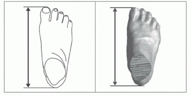 image112.jpg image112.jpg