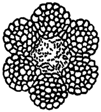 image022.gif