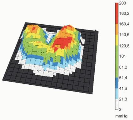 image005.jpg image005.jpg