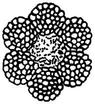 image011.png image011.png