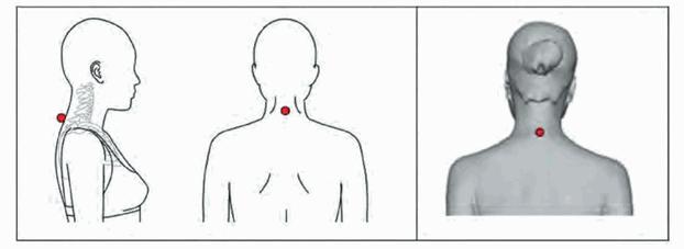 image006.jpg image006.jpg