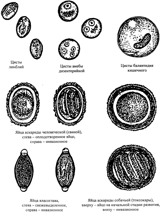 image004.png