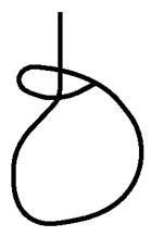 image003.jpg image003.jpg