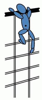 image129.jpg image129.jpg