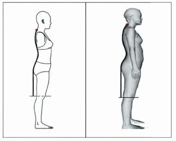 image117.jpg image117.jpg