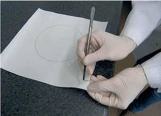 image003.jpg image003.jpg