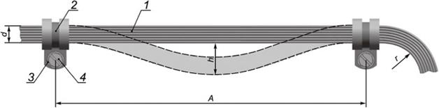 image005.jpg image005.jpg
