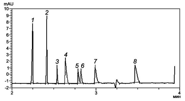image008.jpg image008.jpg