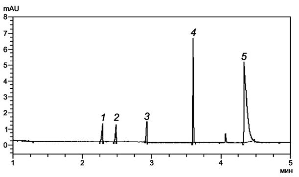 image011.jpg image011.jpg