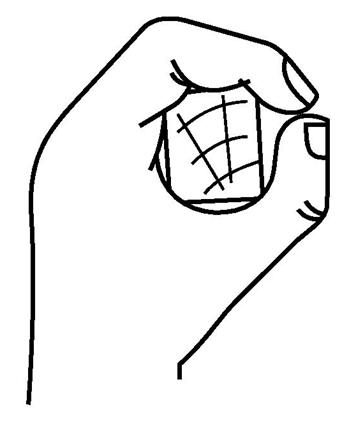 image005.jpg image005.jpg